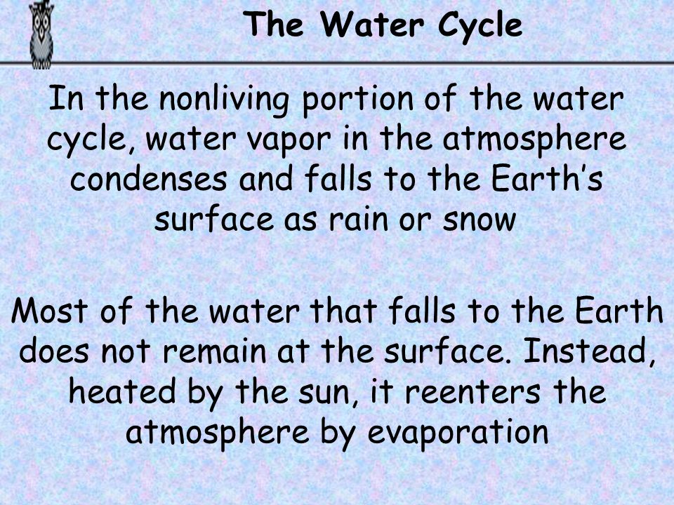 The Water Cycle In the nonliving portion of the water cycle, water vapor in the atmosphere condenses and falls to the Earth’s surface as rain or snow.