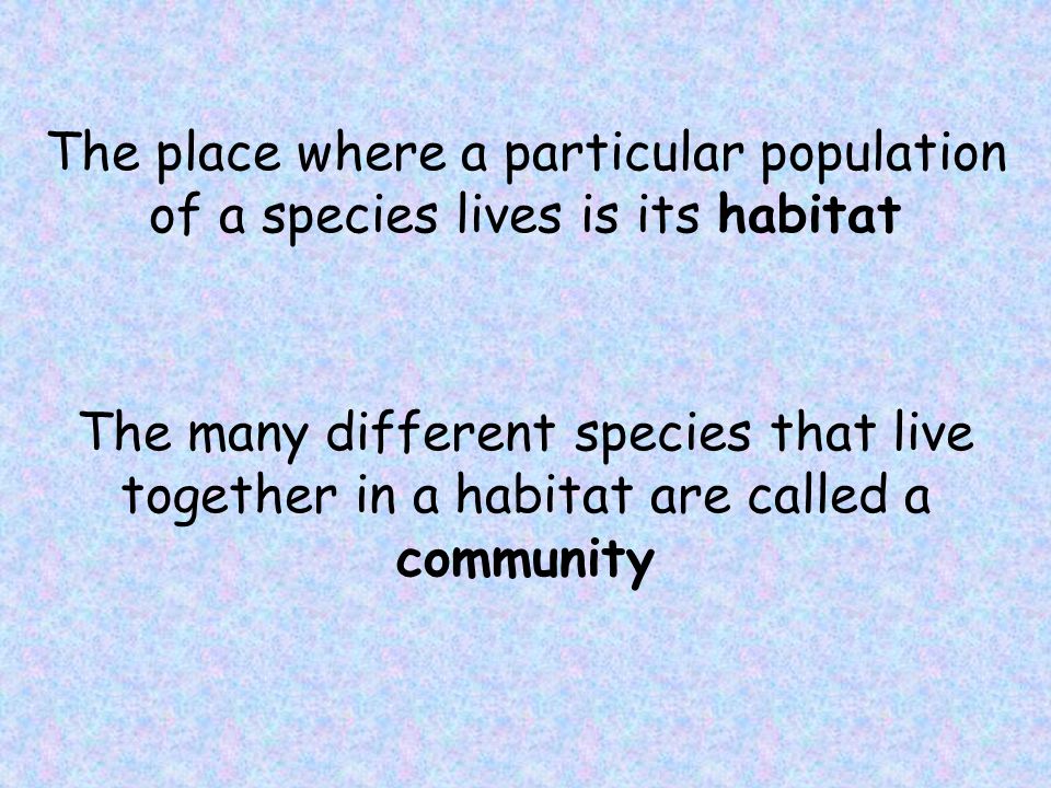 The place where a particular population of a species lives is its habitat