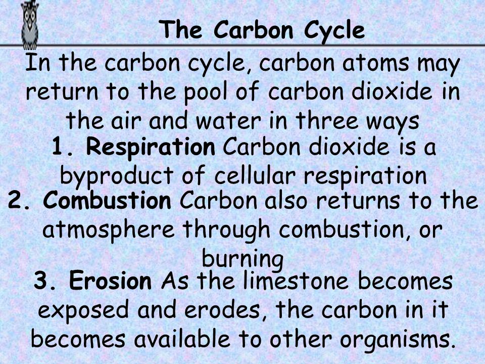 1. Respiration Carbon dioxide is a byproduct of cellular respiration