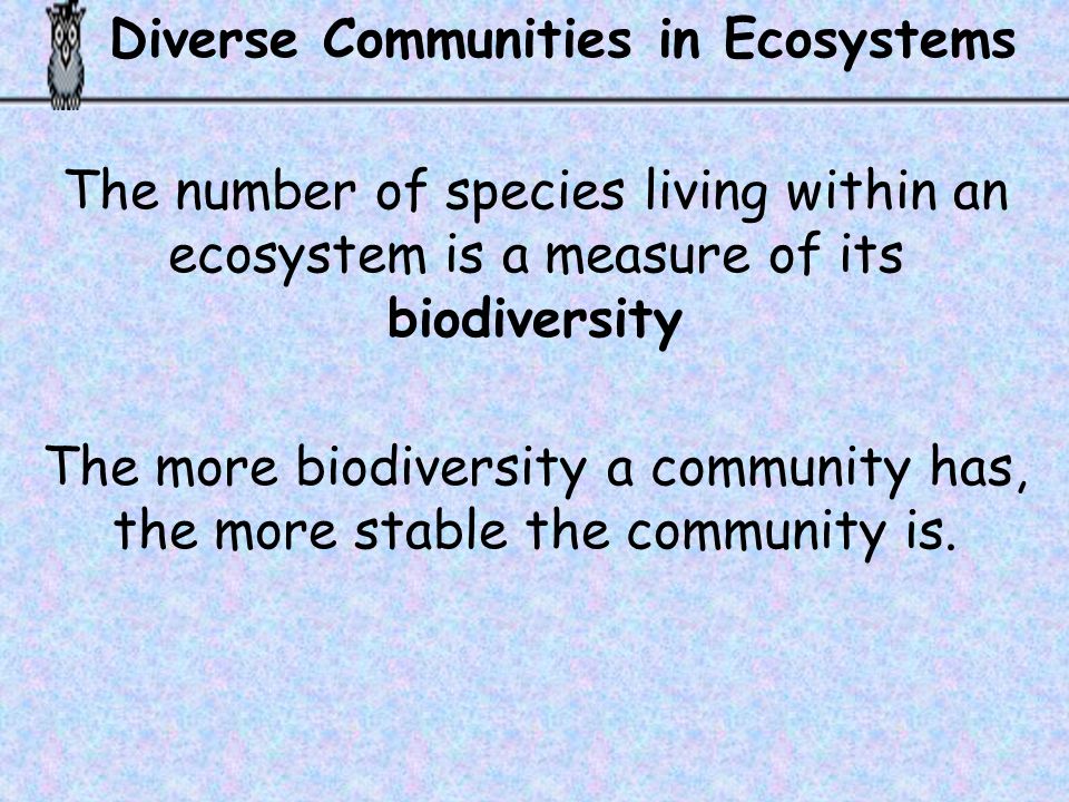Diverse Communities in Ecosystems