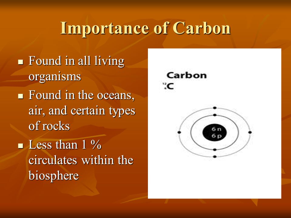 Importance of Carbon Found in all living organisms