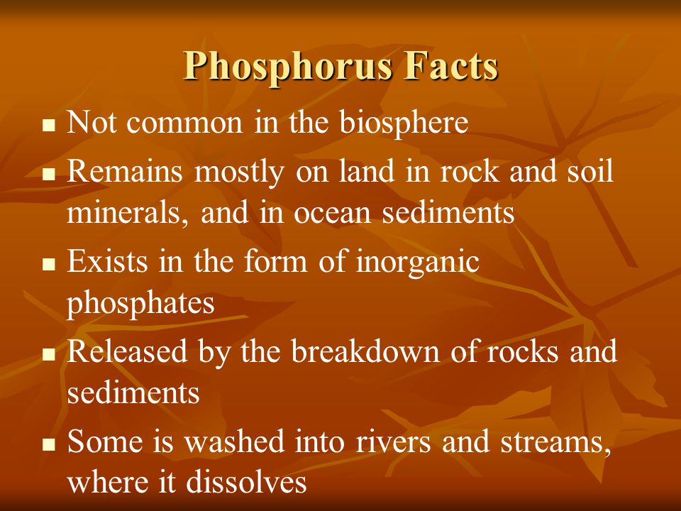 Phosphorus Facts Not common in the biosphere