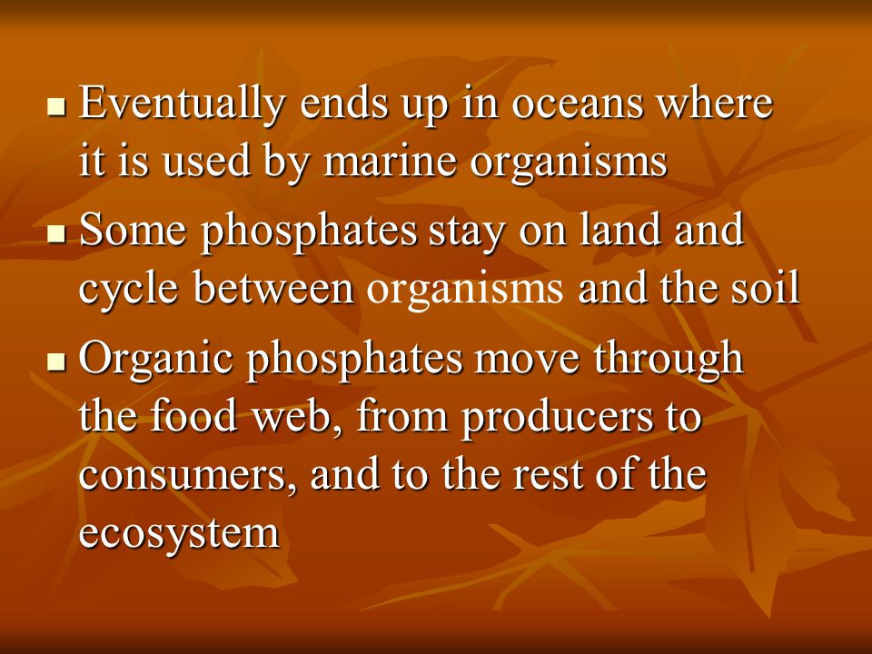 Eventually ends up in oceans where it is used by marine organisms