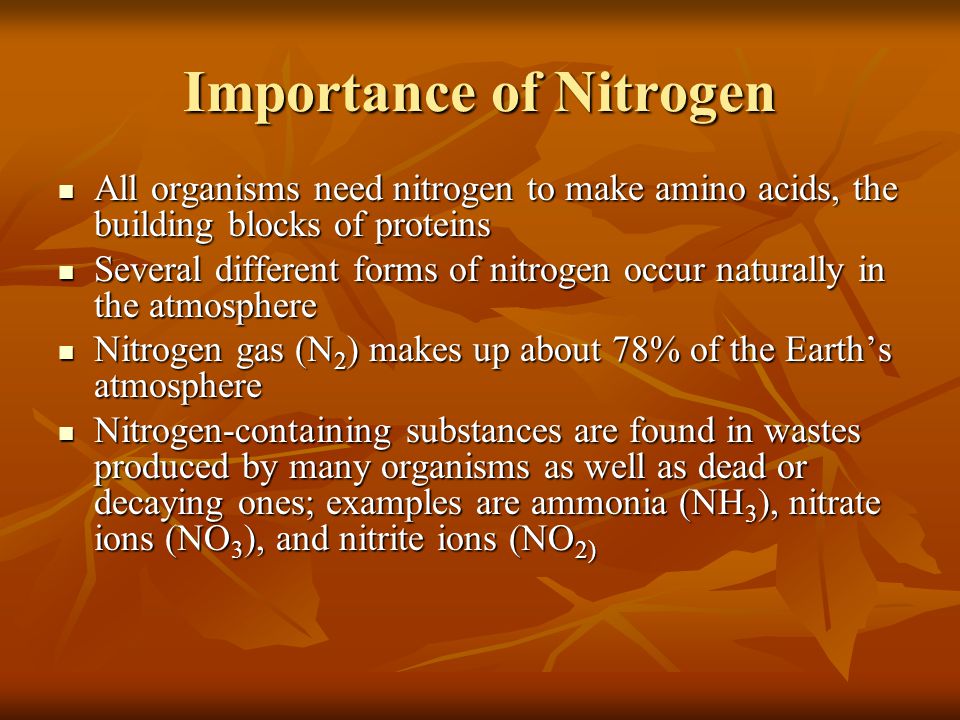 Importance of Nitrogen