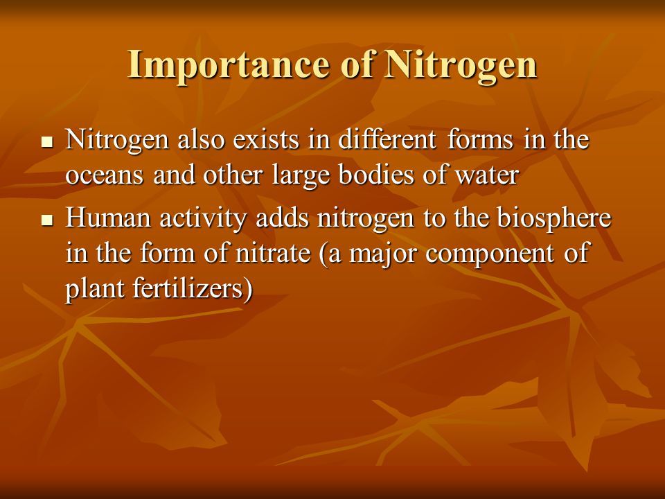Importance of Nitrogen
