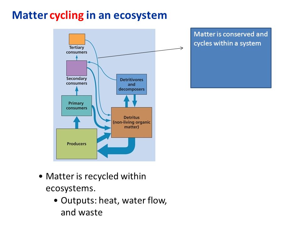 Secondary system. Matter in an ecosystem. Matter System. Conserve and restore Terrestrial and Freshwater ecosystems.