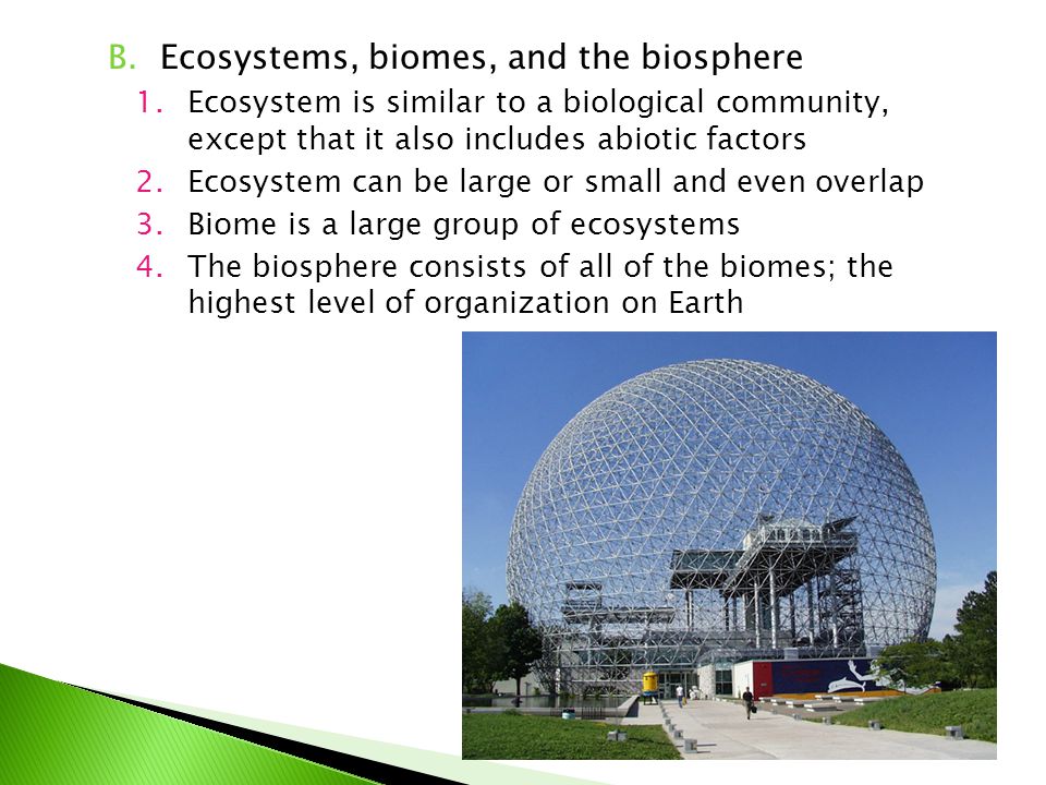 Ecosystems, biomes, and the biosphere