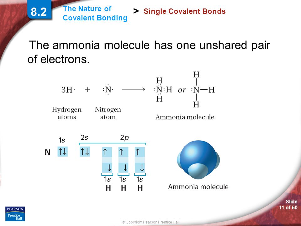 The ammonia molecule has one unshared pair of electrons.
