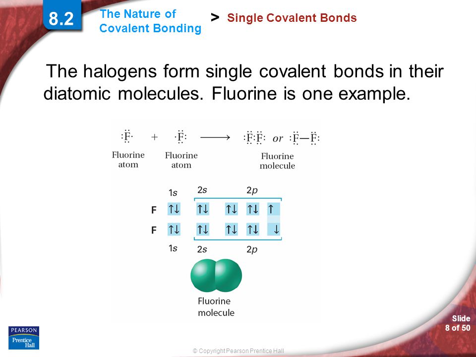 8.2 Single Covalent Bonds. The halogens form single covalent bonds in their diatomic molecules.