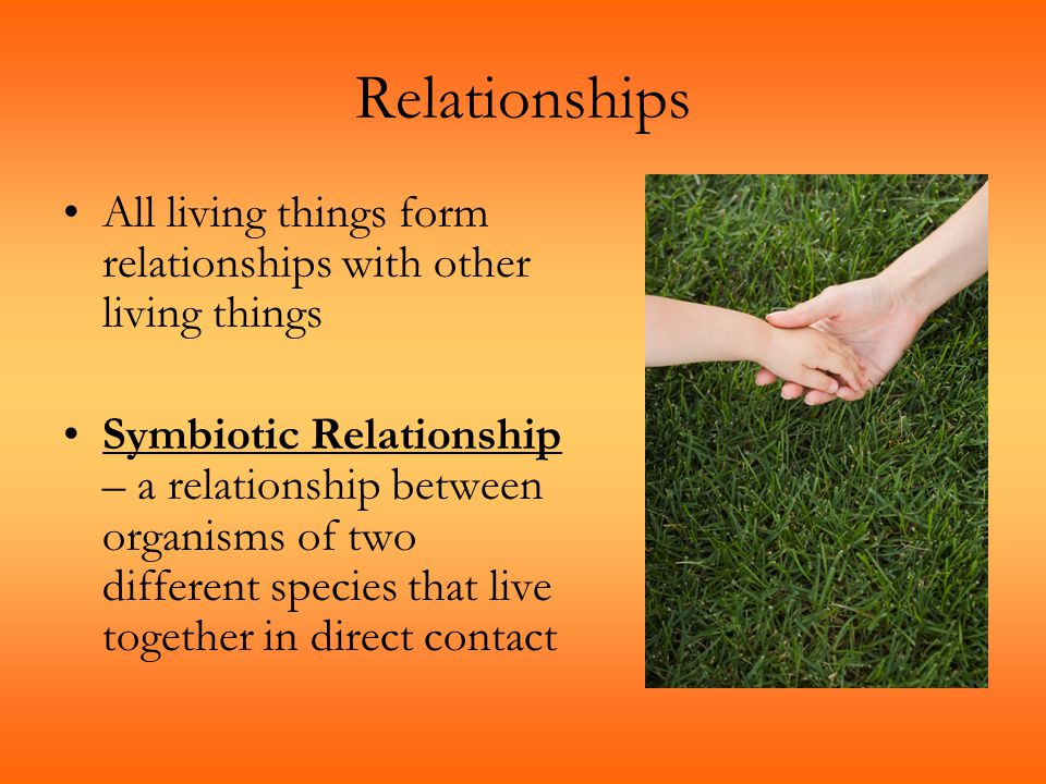 Relationships All living things form relationships with other living things.
