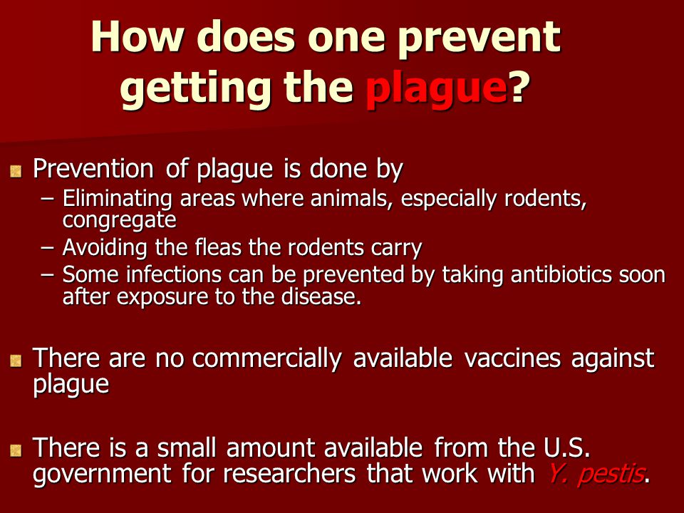 Bubonic Plague: Symptoms, Treatment, And More