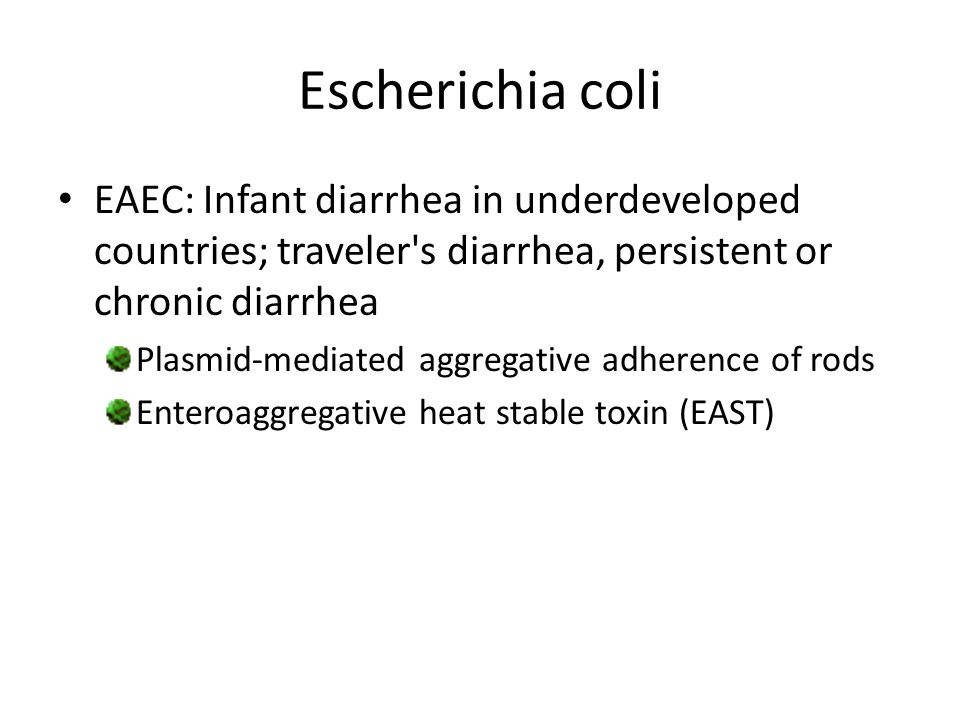 Escherichia coli EAEC: Infant diarrhea in underdeveloped countries; traveler s diarrhea, persistent or chronic diarrhea.