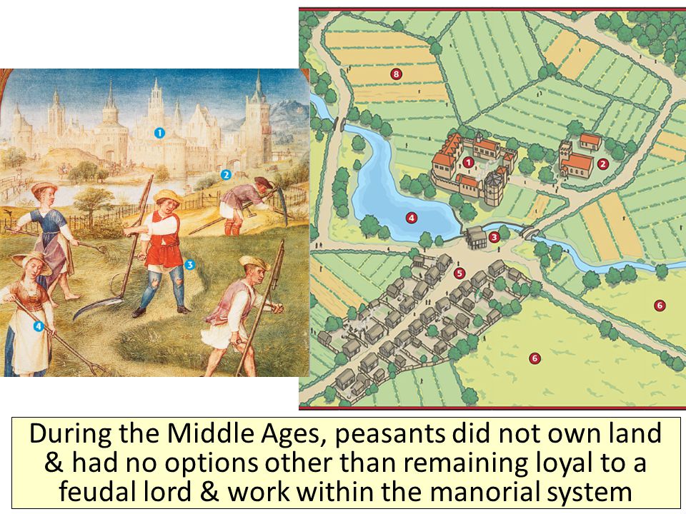 During the Middle Ages, peasants did not own land & had no options other than remaining loyal to a feudal lord & work within the manorial system