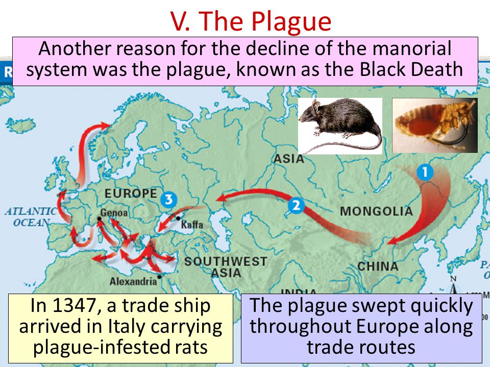 V. The Plague Another reason for the decline of the manorial system was the plague, known as the Black Death.