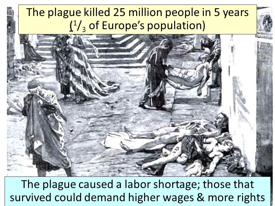 The plague killed 25 million people in 5 years (1/3 of Europe’s population)