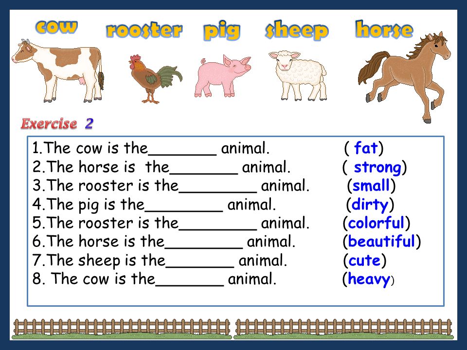 Comparison of Adjectives - ppt download