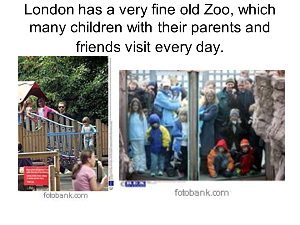 London has a very fine old Zoo, which many children with their parents and friends visit every day.