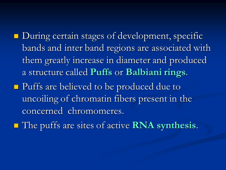 Lecture 7. Polytene chromosomes. Lampbrush chromosomes