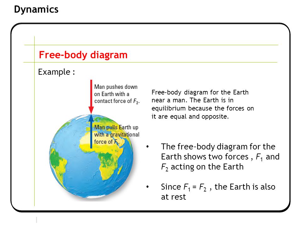 Man body diagram