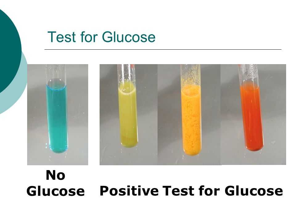Chemical Tests For Glucose Starch Proteins And Fats Ppt Video Online Download