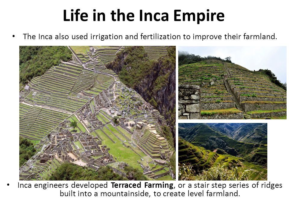 inca society and daily life