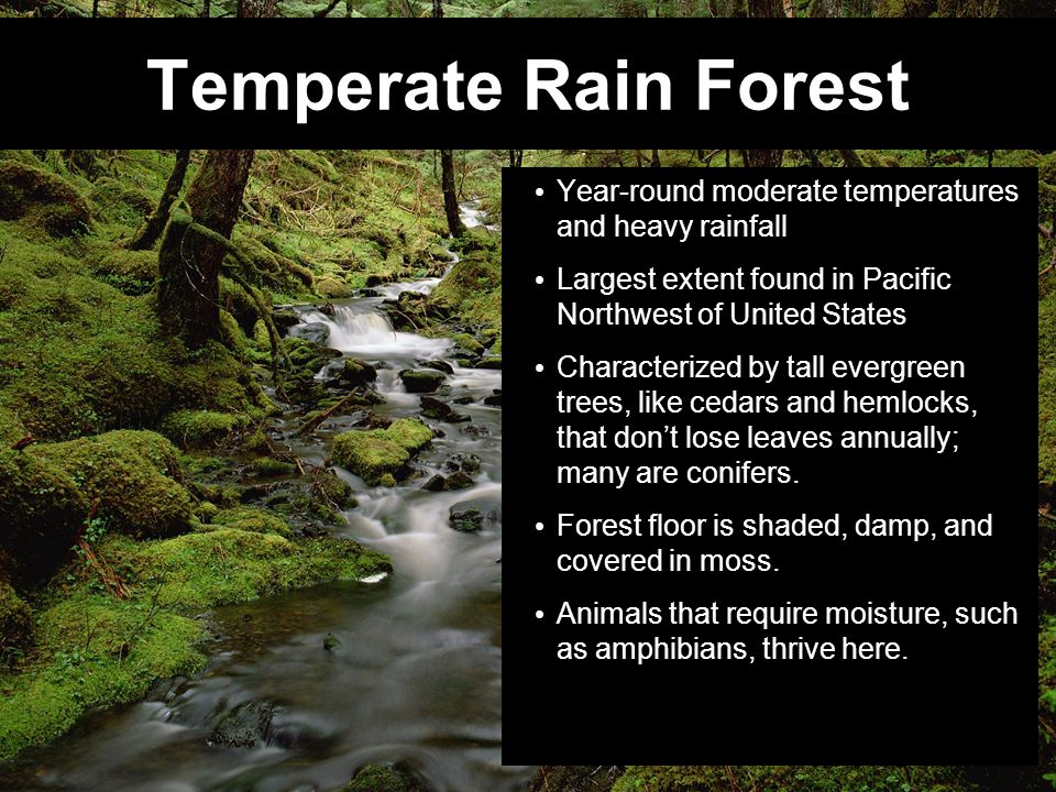 Temperate Rain Forest Year-round moderate temperatures and heavy rainfall. Largest extent found in Pacific Northwest of United States.
