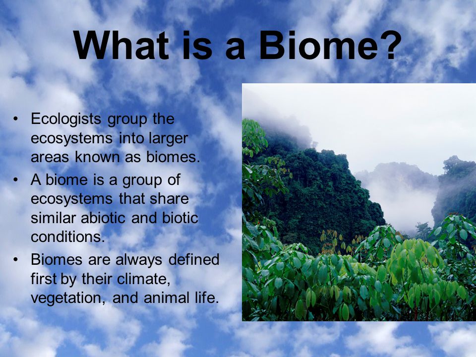 What is a Biome Ecologists group the ecosystems into larger areas known as biomes.