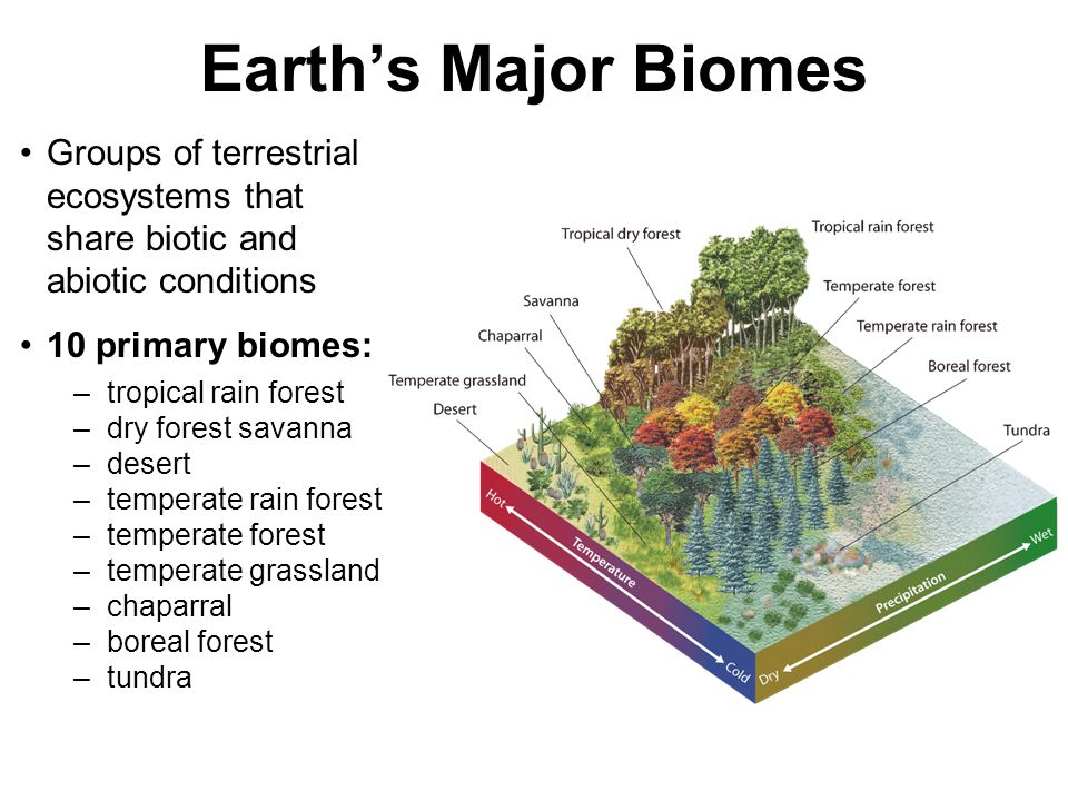 Earth’s Major Biomes Groups of terrestrial ecosystems that share biotic and abiotic conditions. 10 primary biomes: