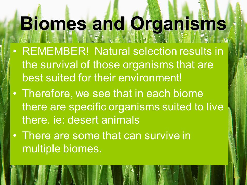 Biomes and Organisms REMEMBER! Natural selection results in the survival of those organisms that are best suited for their environment!