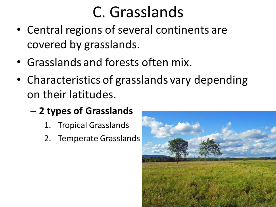 C. Grasslands Central regions of several continents are covered by grasslands. Grasslands and forests often mix.