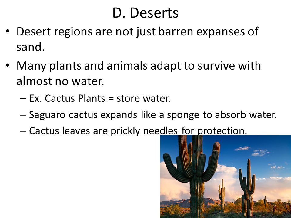 D. Deserts Desert regions are not just barren expanses of sand.