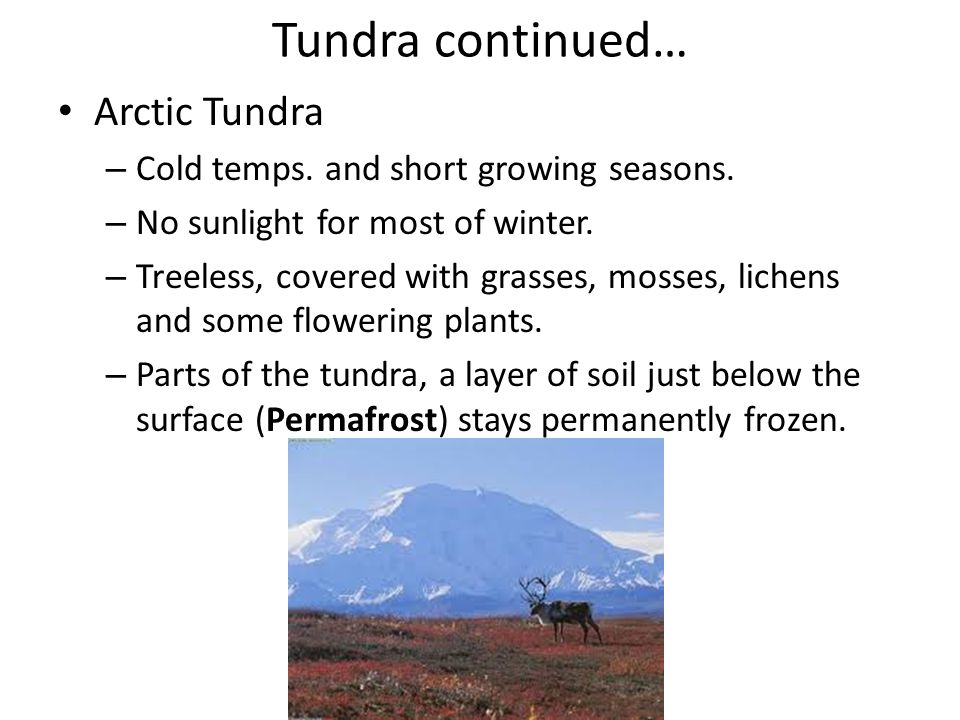 Tundra continued… Arctic Tundra Cold temps. and short growing seasons.