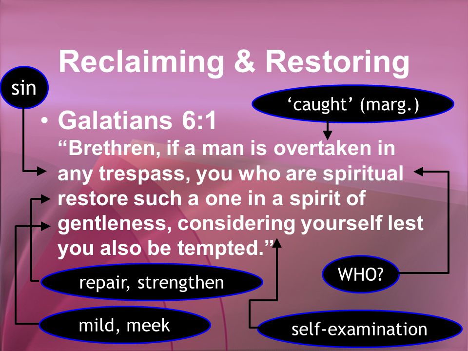 Reclaiming & Restoring