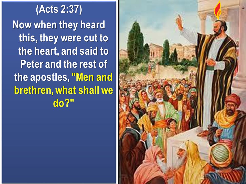 (Acts 2:37) Now when they heard this, they were cut to the heart, and said to Peter and the rest of the apostles, Men and brethren, what shall we do