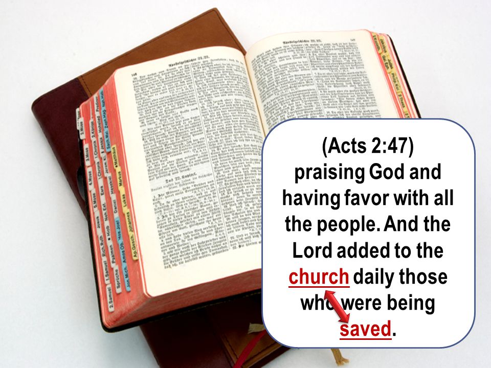 (Acts 2:47) praising God and having favor with all the people.