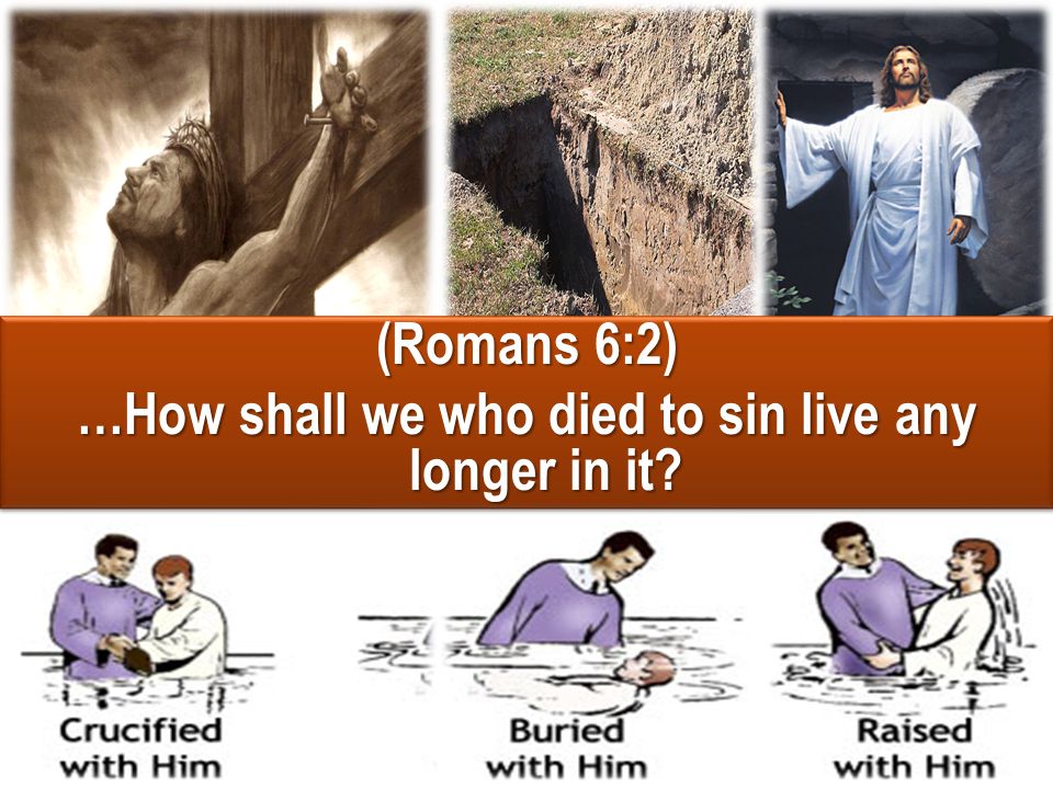 …How shall we who died to sin live any longer in it