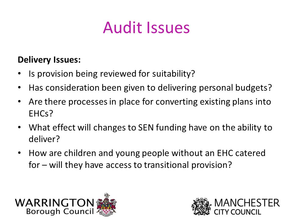 Audit Issues Delivery Issues: