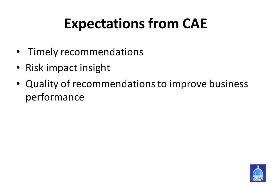 Expectations from CAE Timely recommendations Risk impact insight