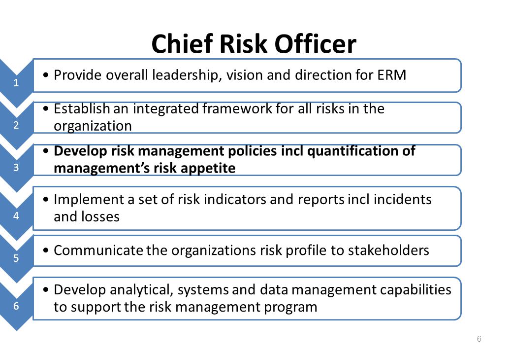 Chief Risk Officer 1. Provide overall leadership, vision and direction for ERM. 2.