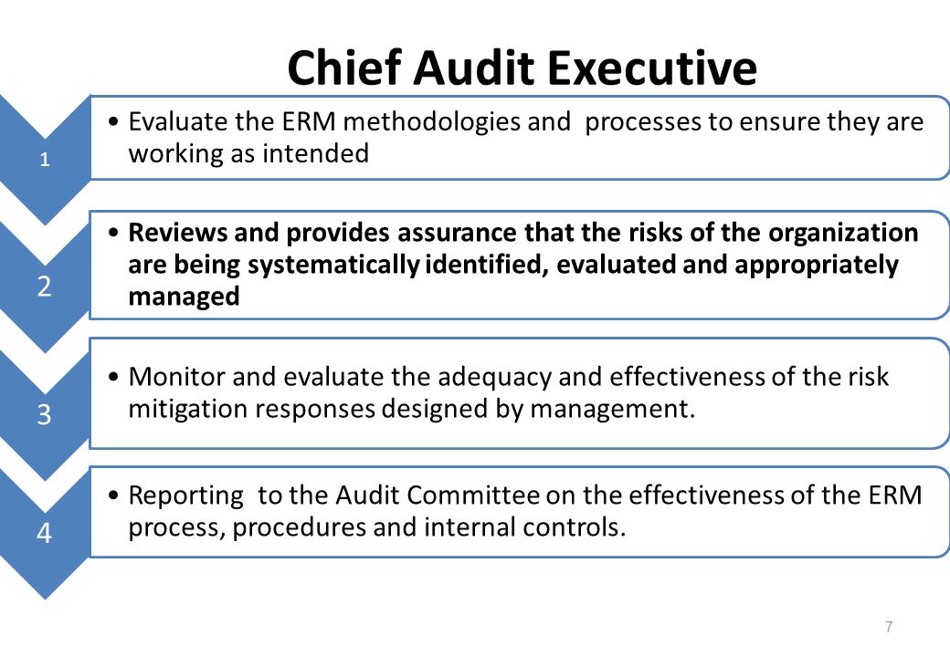 Chief Audit Executive 1. Evaluate the ERM methodologies and processes to ensure they are working as intended.