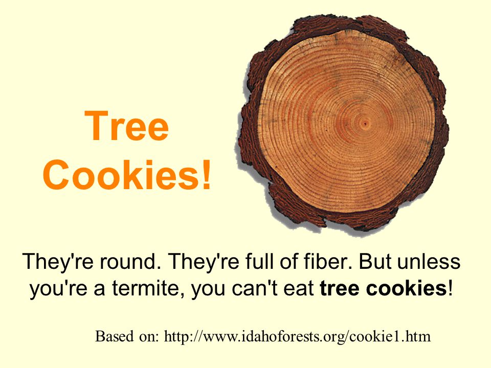 Tree Cookies! They re round. They re full of fiber. But unless you re a termite, you can t eat tree cookies!