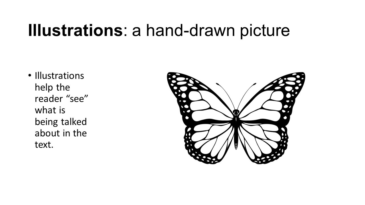 Illustrations: a hand-drawn picture