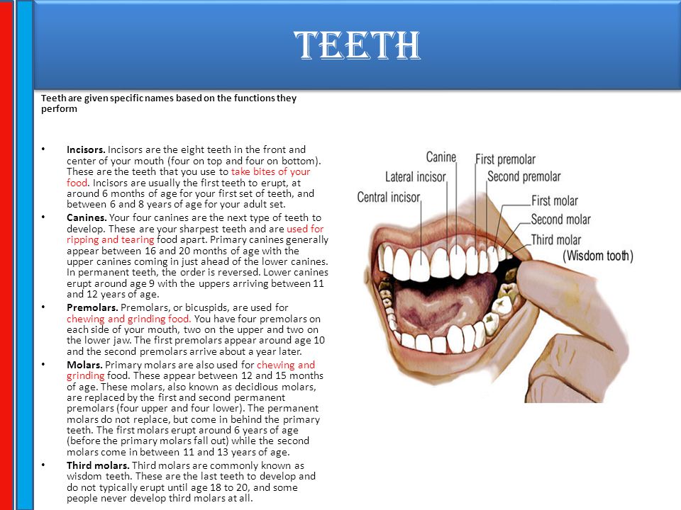 Training Manual Ppt Download