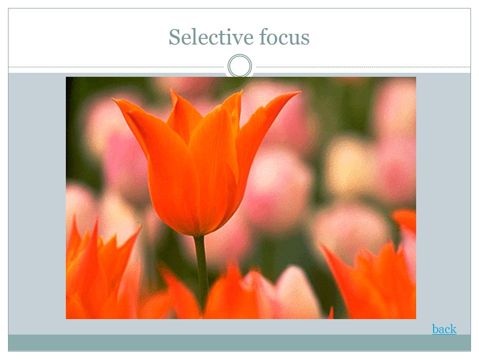 Selective focus back