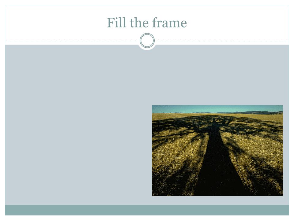 Fill the frame