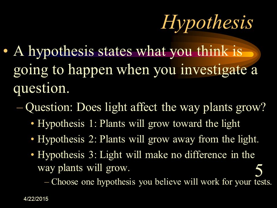 Hypothesis A hypothesis states what you think is going to happen when you investigate a question. Question: Does light affect the way plants grow