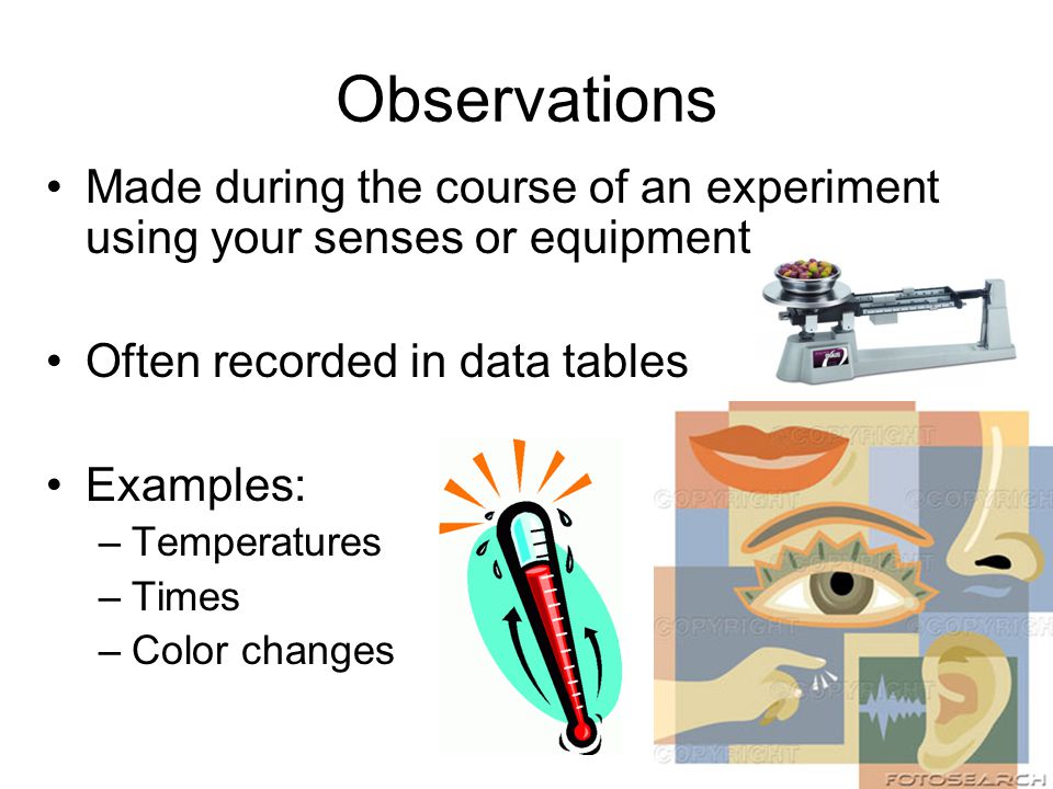 Observations Made during the course of an experiment using your senses or equipment. Often recorded in data tables.