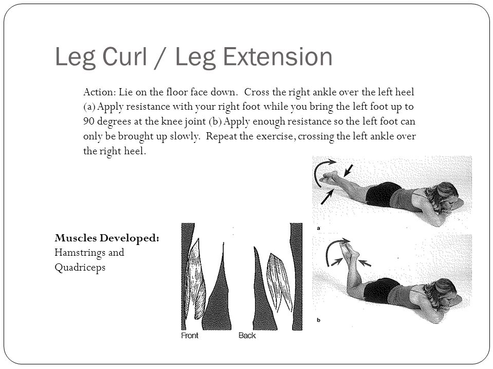 Leg Curl / Leg Extension