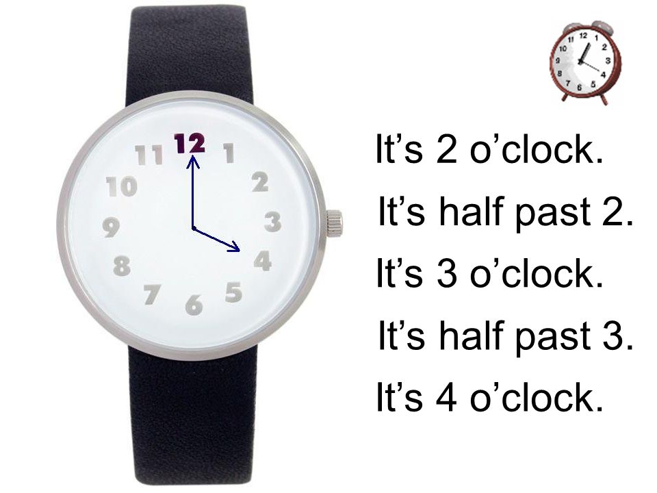 It’s 2 o’clock. It’s half past 2. It’s 3 o’clock. It’s half past 3. It’s 4 o’clock.