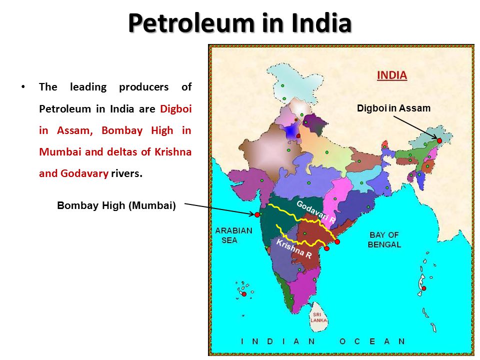 india is leading producer of